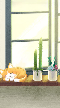 特别的猫