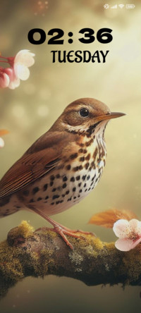 Song Thrush