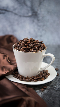 Coffee selection has its own considerations