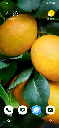 Citrus Glow