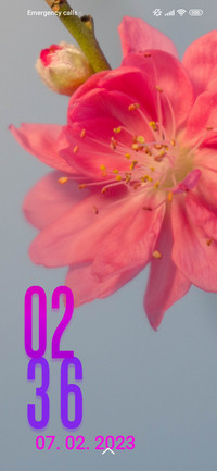 cherry flower