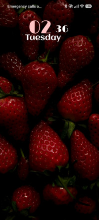 Berry Bloom