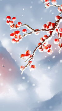The weather is getting colder starting with frost 63