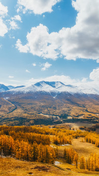 Lingering in the autumn of xinjiang