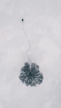 Happiness is hidden in confusion 58