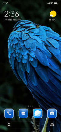 colourful macaw