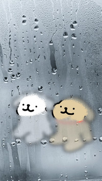 冰点幽默 解暑专用