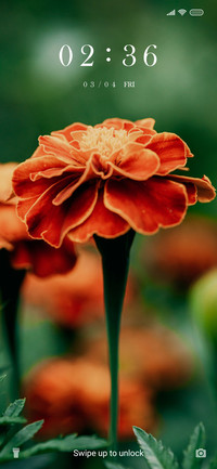 Red Flower_3MDS