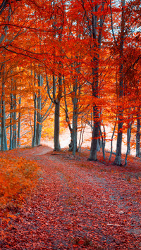 Autumn style