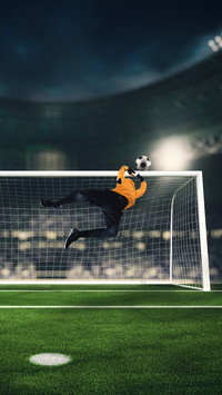 Soccer goalkeeper that makes a great save