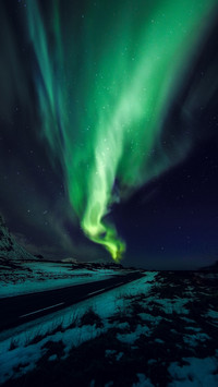 PAIXIN_polar (6)