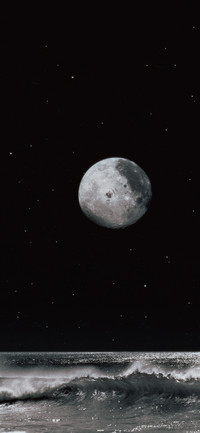宇宙皆诗