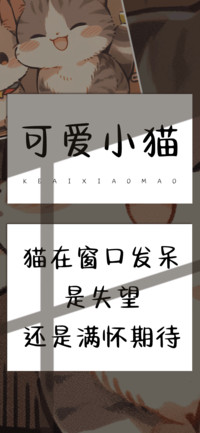 可爱小猫