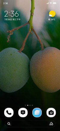 Twin Mangoes