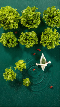 夏季“良药”