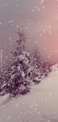 下雪了 免费