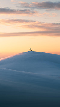 清风洒兰雪