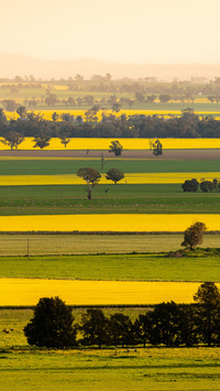 Green and yellow interwoven landscape scenery