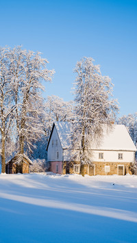 Winter wallpaper-05