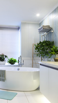 How to decorate the bathroom 7
