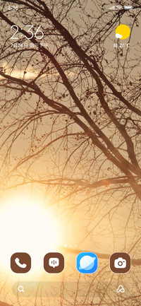 Dawn Tree