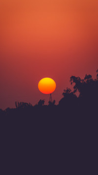 Colors of India (4)