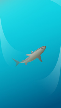 Path of BigFish