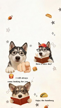 宠物食物安全指南