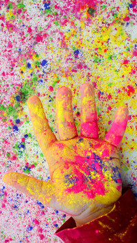 India-Holi (11)