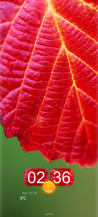 leaves red