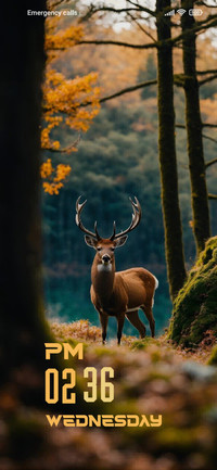 Deer
