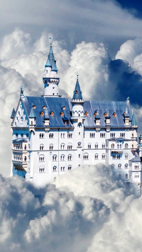 Fancy a castle (5)