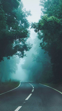 A Man Walking Alone in a Foggy Morning