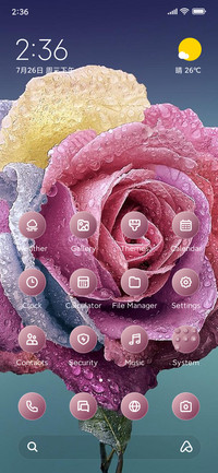 Flower
