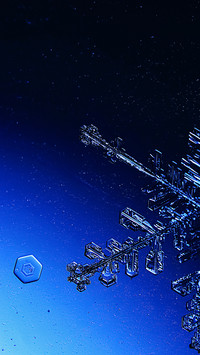 Winter illustration-04