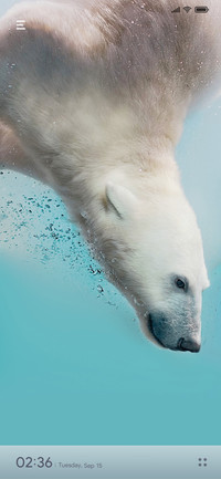 Polar