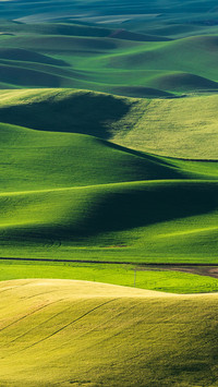 Farmland in the United States