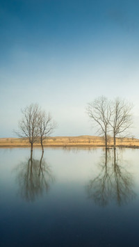 Lake light and mirror reflection
