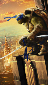 India-ninjaturtles