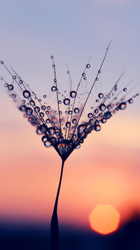 How to take macro photography 97