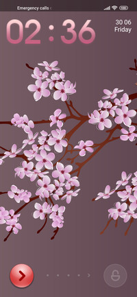 cherry flowers