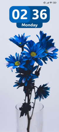 Dream Flowers
