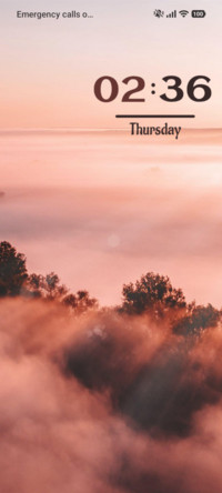 Dawn