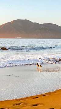 San francisco beach