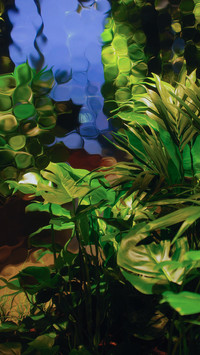 植物肖像