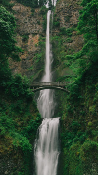 Bridges Of Life (26)