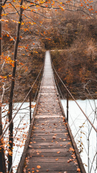 Bridges Of Life (22)