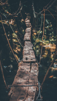 Bridges Of Life (17)