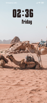 Camels
