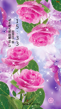 高清玫瑰